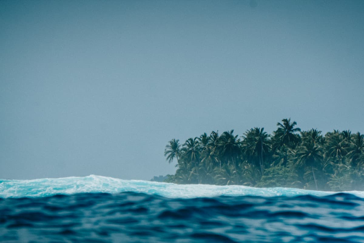 Mentawai sea and jungle